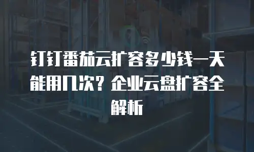 钉钉番茄云扩容多少钱一天能用几次？企业云盘扩容全解析