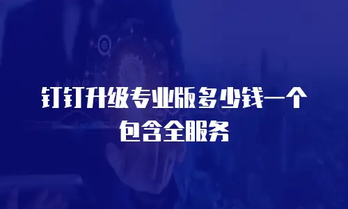 钉钉升级专业版多少钱一个包含全服务