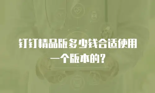 钉钉精品版多少钱合适使用一个版本的？