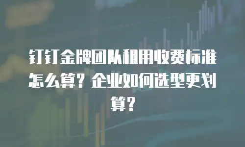 钉钉金牌团队租用收费标准怎么算？企业如何选型更划算？