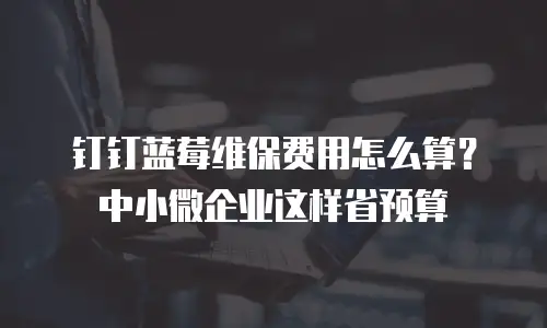 钉钉蓝莓维保费用怎么算？中小微企业这样省预算