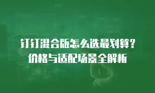 钉钉混合版怎么选最划算？价格与适配场景全解析