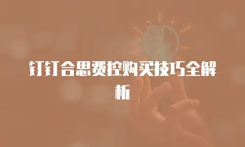 钉钉合思费控购买技巧全解析