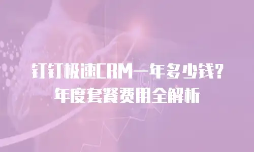 钉钉极速CRM一年多少钱？年度套餐费用全解析