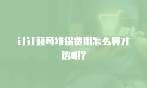 钉钉蓝莓维保费用怎么算才透明？