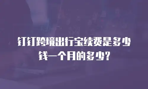 钉钉跨境出行宝续费是多少钱一个月的多少？