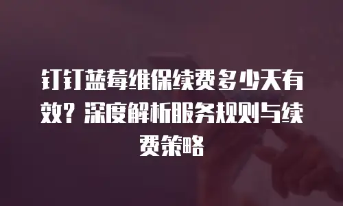 钉钉蓝莓维保续费多少天有效？深度解析服务规则与续费策略