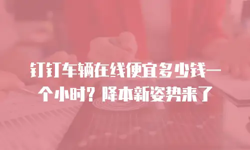 钉钉车辆在线便宜多少钱一个小时？降本新姿势来了