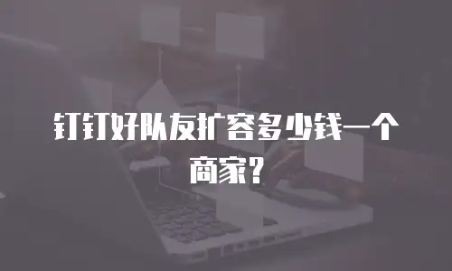 钉钉好队友扩容多少钱一个商家？