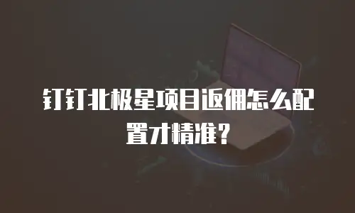 钉钉北极星项目返佣怎么配置才精准？