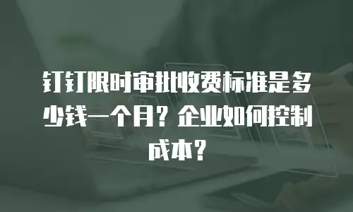 钉钉限时审批收费标准是多少钱一个月？企业如何控制成本？