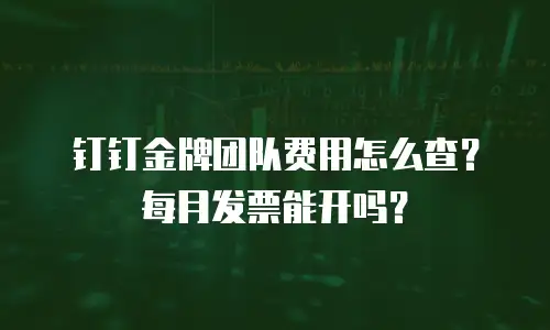 钉钉金牌团队费用怎么查？每月发票能开吗？