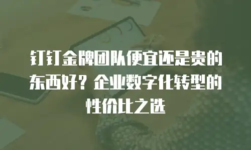 钉钉金牌团队便宜还是贵的东西好？企业数字化转型的性价比之选