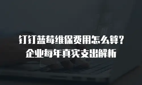 钉钉蓝莓维保费用怎么算？企业每年真实支出解析