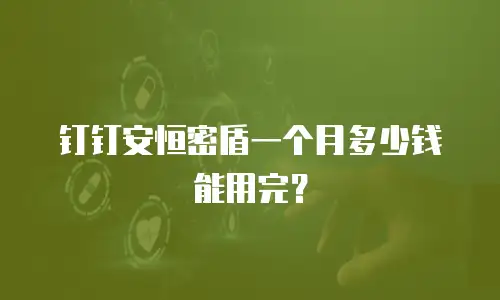 钉钉安恒密盾一个月多少钱能用完？