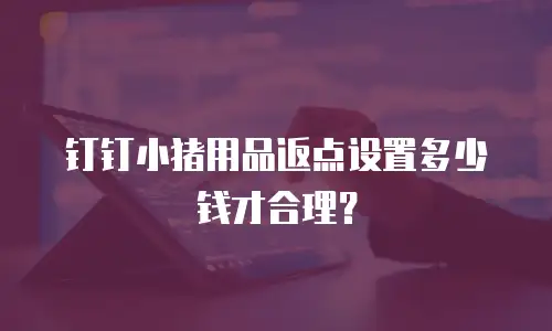 钉钉小猪用品返点设置多少钱才合理？