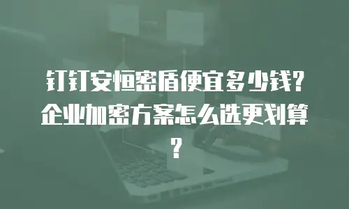 钉钉安恒密盾便宜多少钱？企业加密方案怎么选更划算？