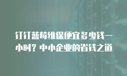 钉钉蓝莓维保便宜多少钱一小时？中小企业的省钱之道