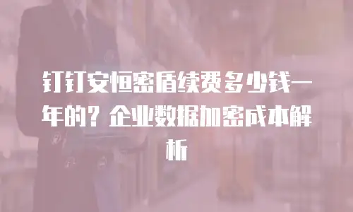 钉钉安恒密盾续费多少钱一年的？企业数据加密成本解析