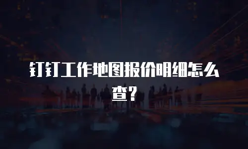 钉钉工作地图报价明细怎么查？