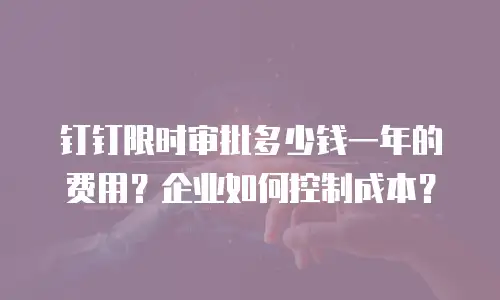 钉钉限时审批多少钱一年的费用？企业如何控制成本？