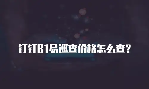 钉钉B1易巡查价格怎么查？