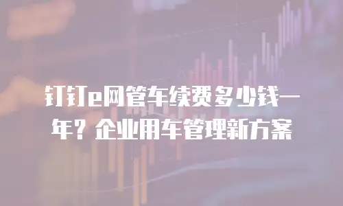 钉钉e网管车续费多少钱一年？企业用车管理新方案