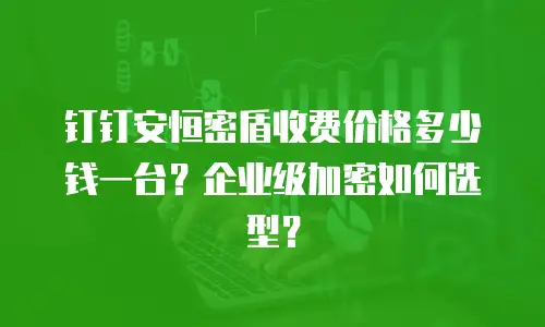 钉钉安恒密盾收费价格多少钱一台？企业级加密如何选型？