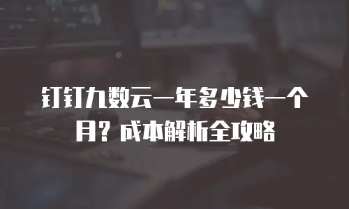 钉钉九数云一年多少钱一个月？成本解析全攻略