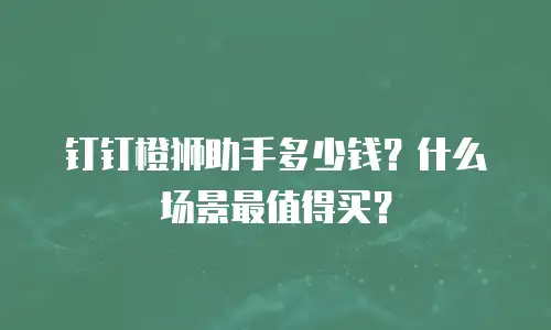 钉钉橙狮助手多少钱？什么场景最值得买？