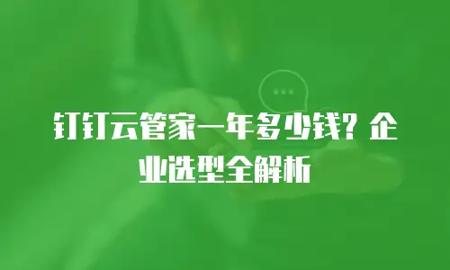 钉钉云管家一年多少钱？企业选型全解析
