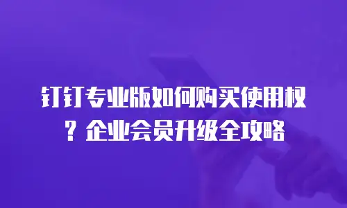 钉钉专业版如何购买使用权？企业会员升级全攻略
