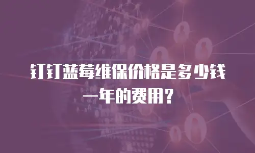 钉钉蓝莓维保价格是多少钱一年的费用？