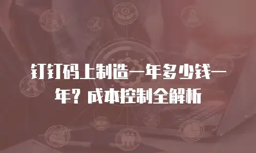 钉钉码上制造一年多少钱一年？成本控制全解析