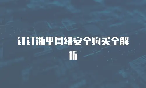 钉钉浙里网络安全购买全解析