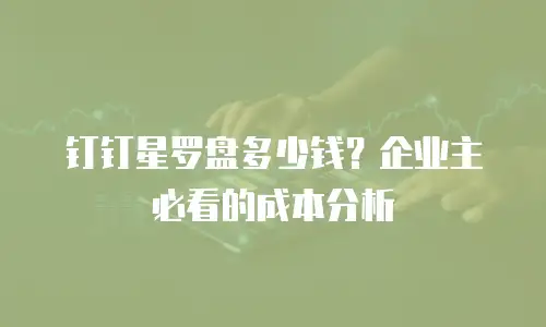 钉钉星罗盘多少钱？企业主必看的成本分析