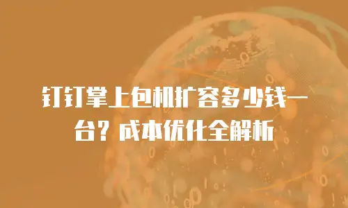 钉钉掌上包机扩容多少钱一台？成本优化全解析
