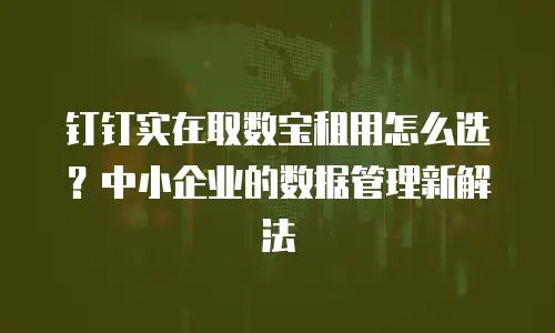 钉钉实在取数宝租用怎么选？中小企业的数据管理新解法