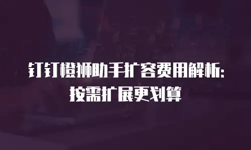 钉钉橙狮助手扩容费用解析：按需扩展更划算