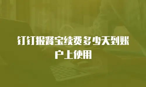 钉钉报餐宝续费多少天到账户上使用