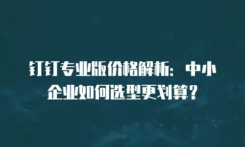 钉钉专业版价格解析：中小企业如何选型更划算？