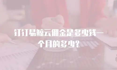 钉钉易鲸云佣金是多少钱一个月的多少？
