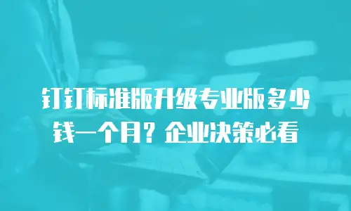 钉钉标准版升级专业版多少钱一个月？企业决策必看