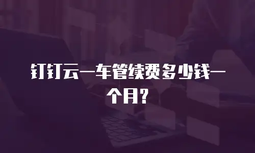 钉钉云一车管续费多少钱一个月？