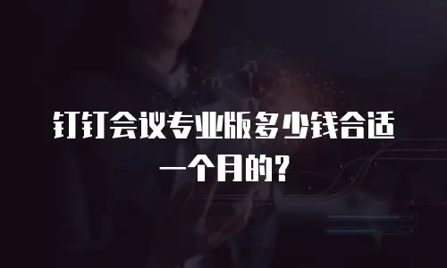 钉钉会议专业版多少钱合适一个月的？
