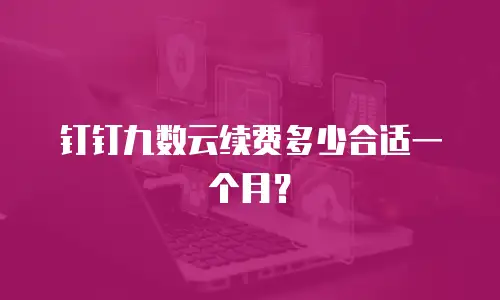 钉钉九数云续费多少合适一个月？