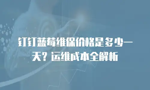 钉钉蓝莓维保价格是多少一天？运维成本全解析