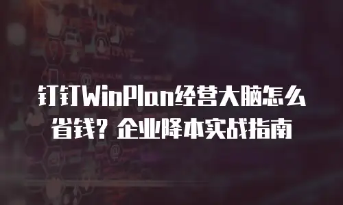 钉钉WinPlan经营大脑怎么省钱？企业降本实战指南