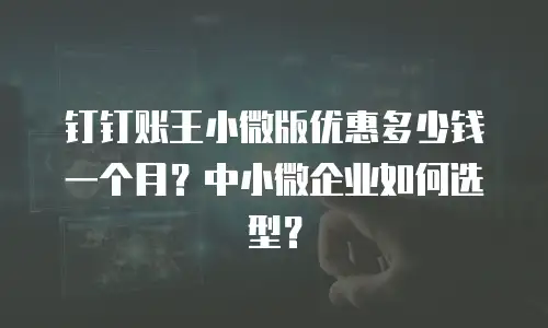 钉钉账王小微版优惠多少钱一个月？中小微企业如何选型？