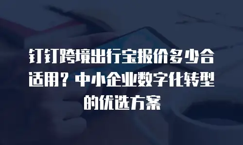 钉钉跨境出行宝报价多少合适用？中小企业数字化转型的优选方案